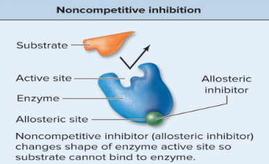 <p>Noncompetitive inhibitor / allosteric inhibitors </p>