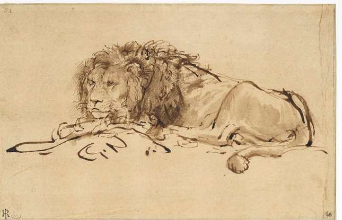 <p>Rembrandt, <em>Lion au repos, </em>1645-46, Paris</p>