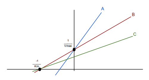 <p>On this Lineweaver-Burk plot, B represents</p>