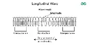 <p>longitudinal wave</p>