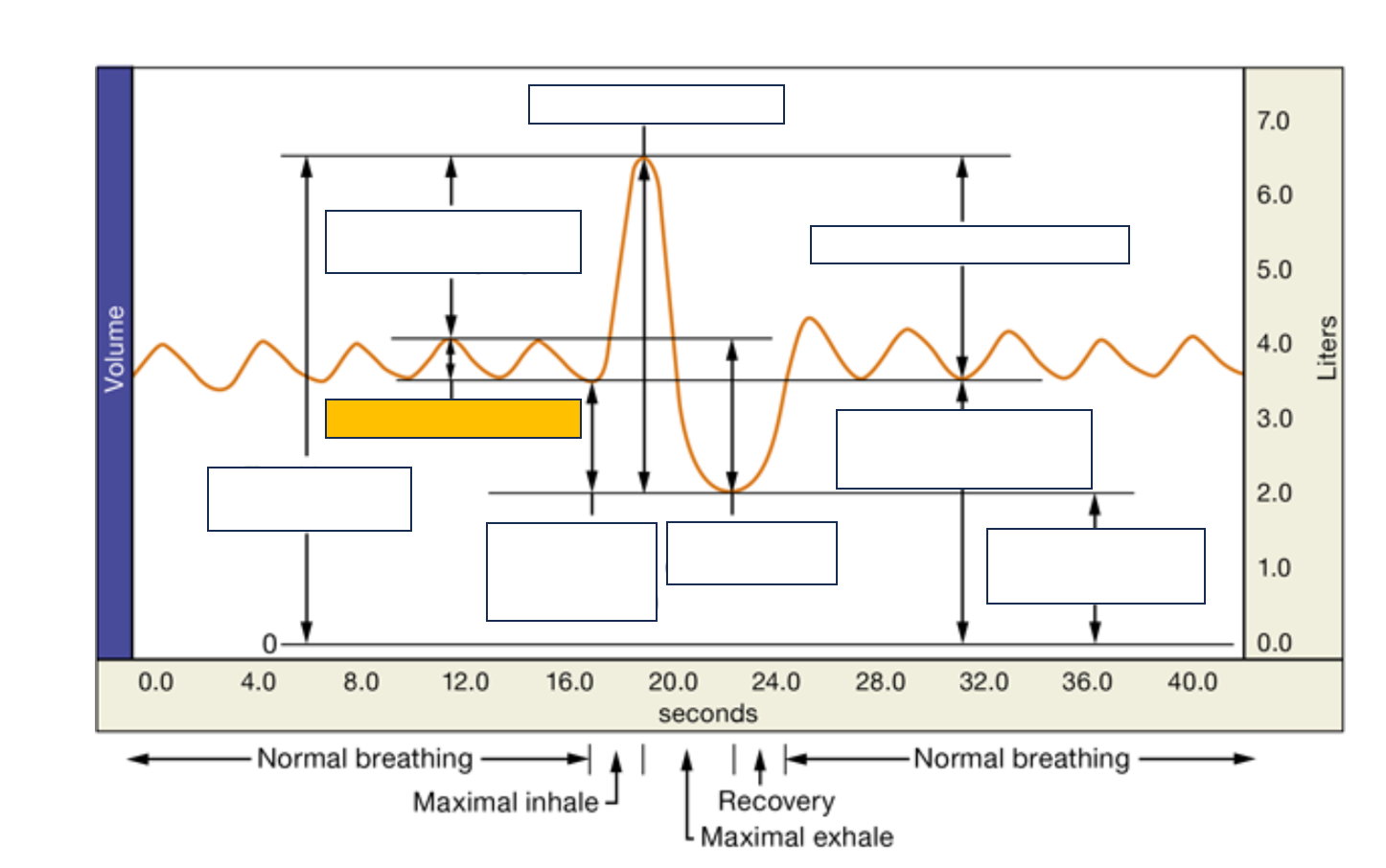 <p>name and def.</p>