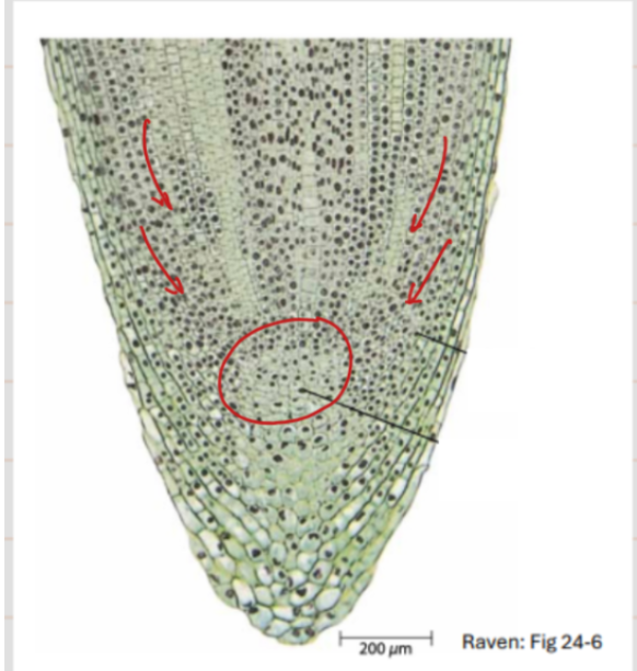 <p>what is this area</p>
