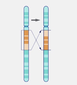 <p>What is this?</p>