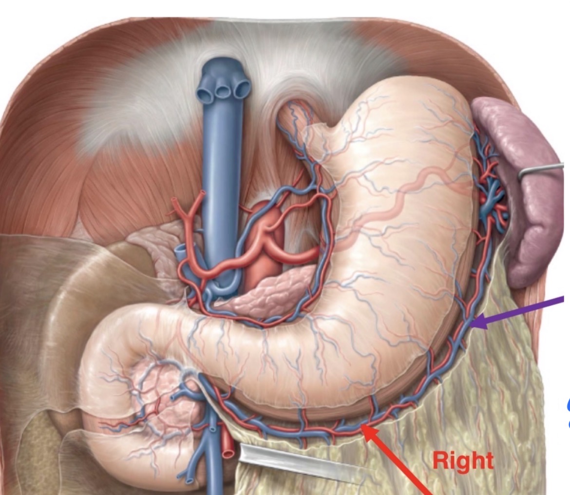 <p>left and right?</p>