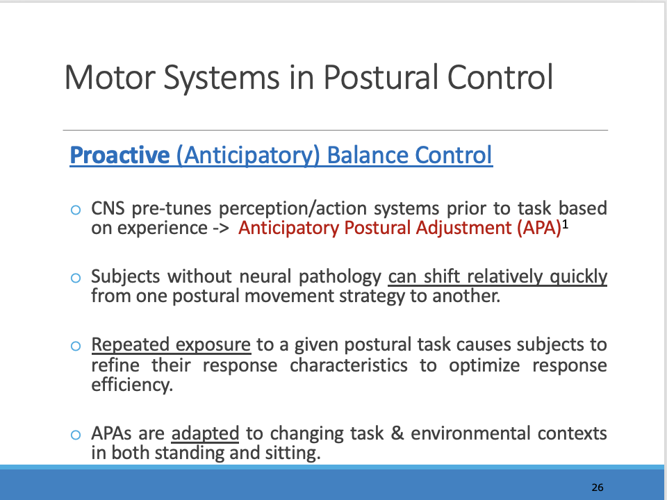 <p>___________</p><p><span>Postural muscles are also activated before voluntary movements to minimize potential disturbances to balance that the movement may cause. This is called anticipatory postural control.</span></p>