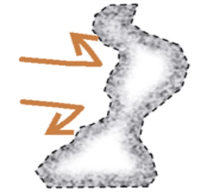 <p>What type of habitat patch is this?</p>