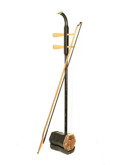 <ul><li><p>(Chordophone)<span style="color: rgb(215, 214, 156);"><strong> two-stringed </strong></span>bowed instrument.</p></li></ul><p></p>