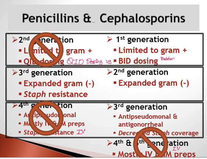 <ul><li><p>1st gen cephalosporin: cephalexin (Keflex) 500mg BIDx 10d</p></li><li><p>2nd gen cephalosporin: cefprozil 500mg BIDx 10d</p></li><li><p>3rd gen cephalosporin: cefdinir 300mg BIDx 10d</p></li><li><p>3rd gen penicillins: Amoxicillin w/clavulanate (Augmentin): 875mg BIDx 10d OR 500mg TIDx 10d</p></li></ul><p></p>