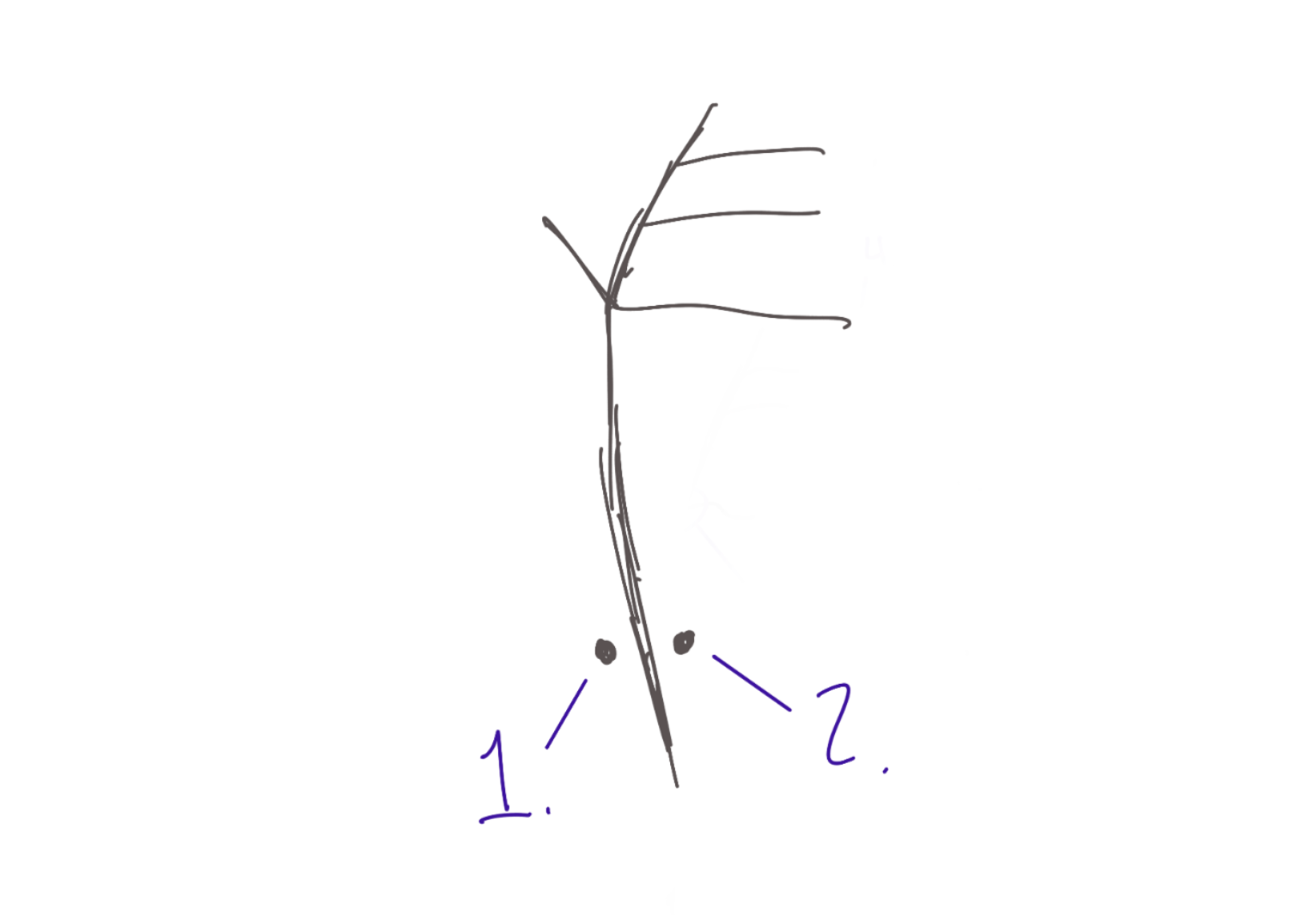 <p>Structure. Blue pin, but most lateral pin. (2pins only) #1 </p>