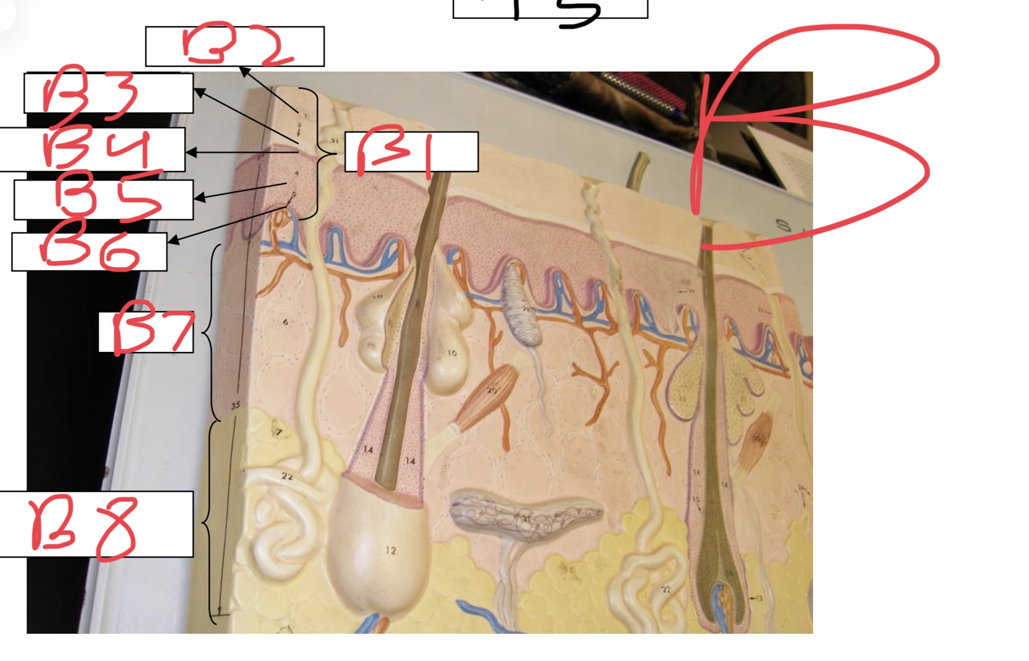 <p>What is B4</p>