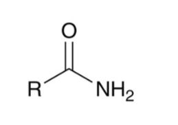 <p>amide</p>