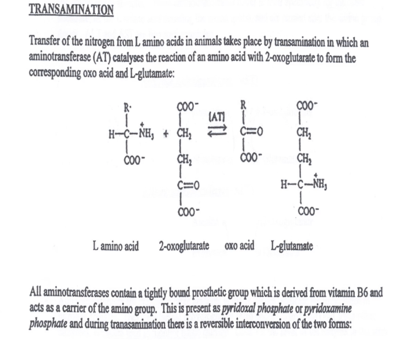 <p>L-alanine + E+PLP → E+PMP + pyruvate; E+PMP + α-ketoglutarate → E+PLP + L-glutamate.</p>