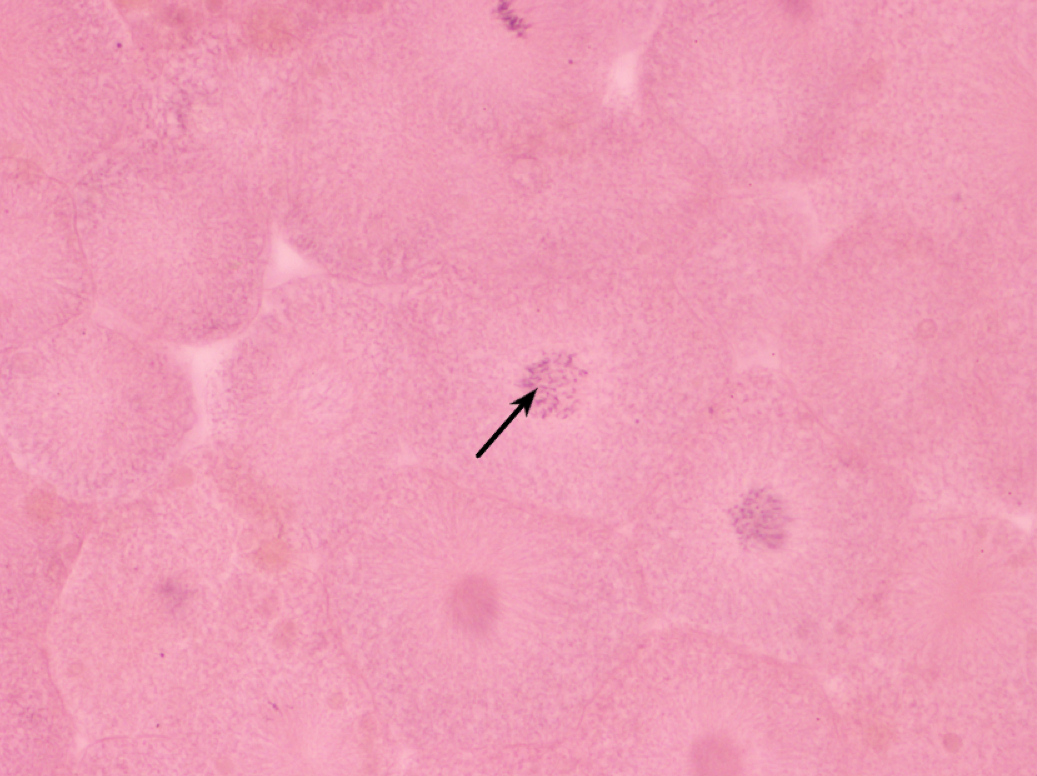 <p>What is this?</p>