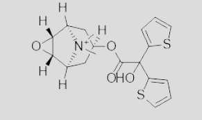 <p>Brand Name(s)</p><p>• Spiriva</p><p>Pharmacologic Category:</p><p>• Anticholinergic</p><p>Indication(s):</p><p>• Asthma</p><p>• COPD</p><p>Route(s) &amp; Dosage Form(s):</p><p>• Inhalational: Nebulizer, Powder, or Solution</p><p>Strength(s):</p><p>• Inhalational solution: 1.25 mcg/actuation; 2.5 mcg/actuation,</p><p>• Inhalational powder capsule: 18 mcg<br></p>