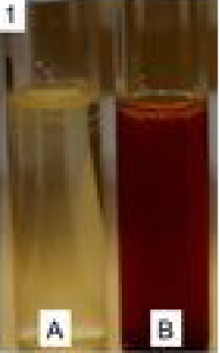 <p>red when reagent added</p>