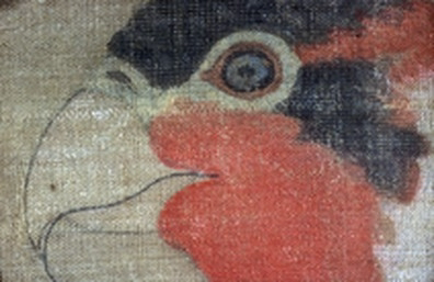 <p>The parakeet is rendered in layers of color, with very</p><p>fine brush, then crucial sections – such as the eyes</p><p>and the beak -- outlined with extraordinarily precise, dry brush.</p>