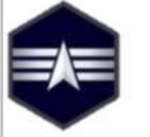 <p>USSF Enlisted Ranks</p>