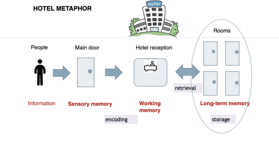 <p>long-term memory? 5 pts</p>