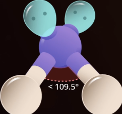 <p><span style="background-color: transparent;">sp<sup>3</sup>, 2 bonds, 2 lone pairs, < 109.5<sup>o</sup> angles, water</span></p>
