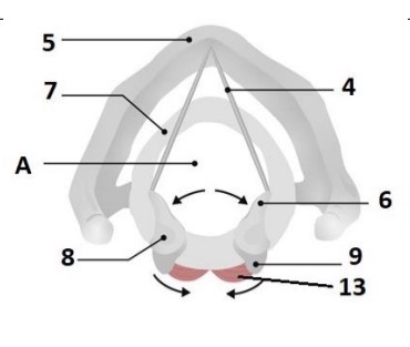 <p>A</p>