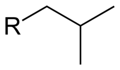 <p>Like isopropyl, but adds an extra carbon at the beginning of the chain</p>