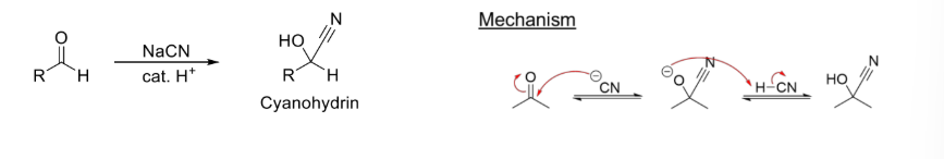 <p><strong>Reaction #2 - ________</strong></p><ul><li><p><span style="color: purple;"><strong>Reduce C=O to OH and insert CN on the same carbon</strong></span>. (May form a chrial center) </p></li></ul><p></p>