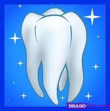 <p>tooth</p>