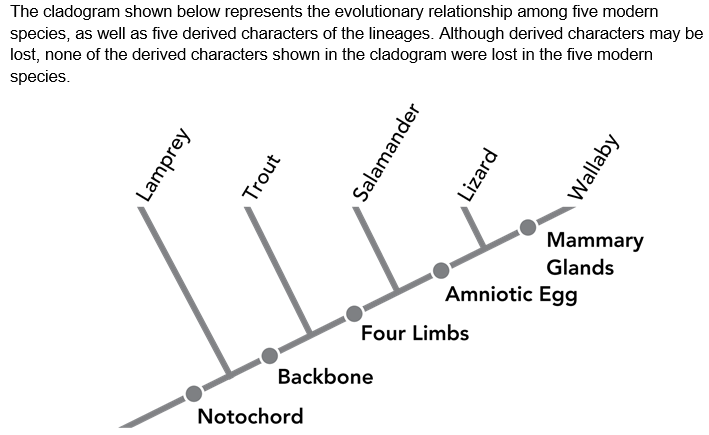 <p><span>Which property can be determined from the information in the cladogram?</span></p>