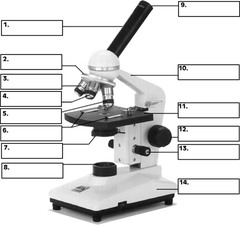 <p>what is structure number 1?</p><p>The part of the microscope that connects the ocular lenses and the rotating nosepiece with the objective lenses; contains lens that helps to focus but not magnify</p>