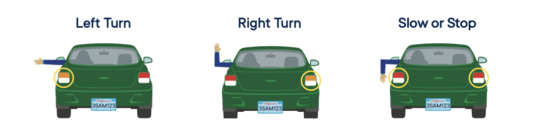 <p>If your signal lights are not functioning, or bright sunlight makes your signal lights hard to see, use the ________ signals shown in the images.  </p>