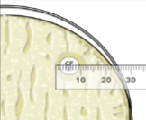 <p>≤14mm </p>