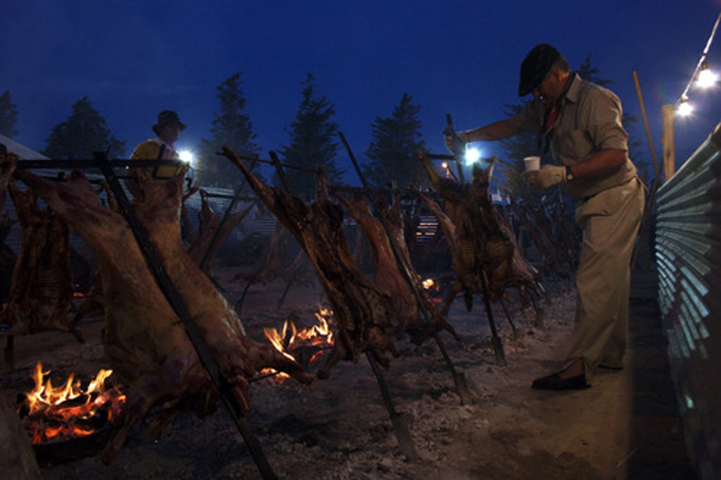 <p>cooking</p>