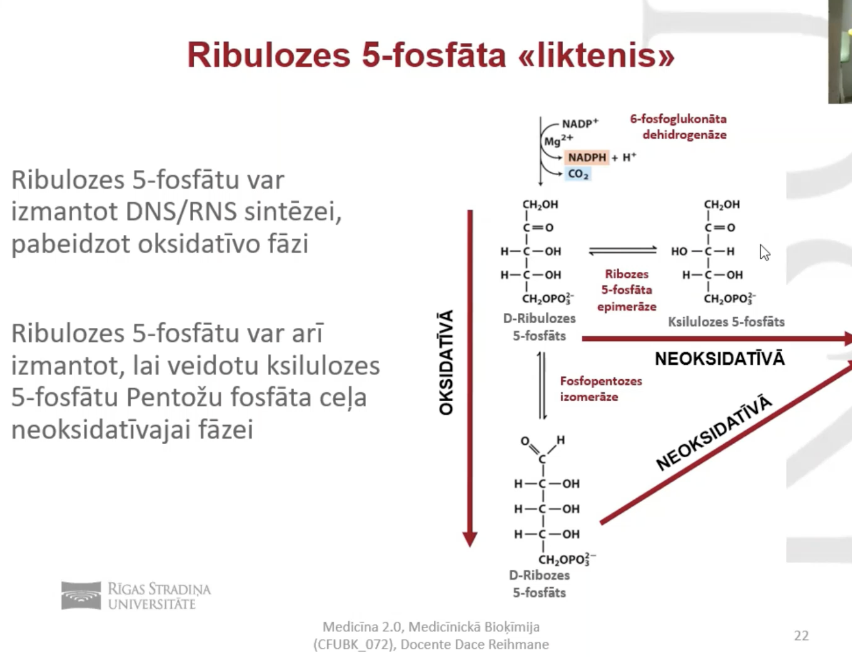 <p>vai nu D ribozes 5 fosfāts</p><p>vai nu ksilulozes 5 fosfāts (neoksidatīvās fāzes sākums)</p>