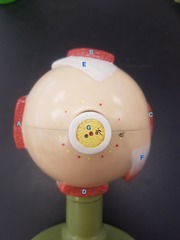 <p>Identify Structure F</p>