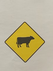<p>what does this sign mean?</p>