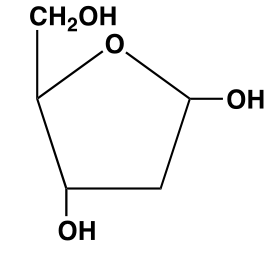 <p>What Carbohydrate is this, and what is its abbreviation? </p>