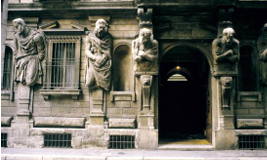 term image
