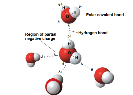 <p>A weak electrostatic attraction between partial positive (δ+) H and a partial negative (δ-) atom (typically O or N).</p>