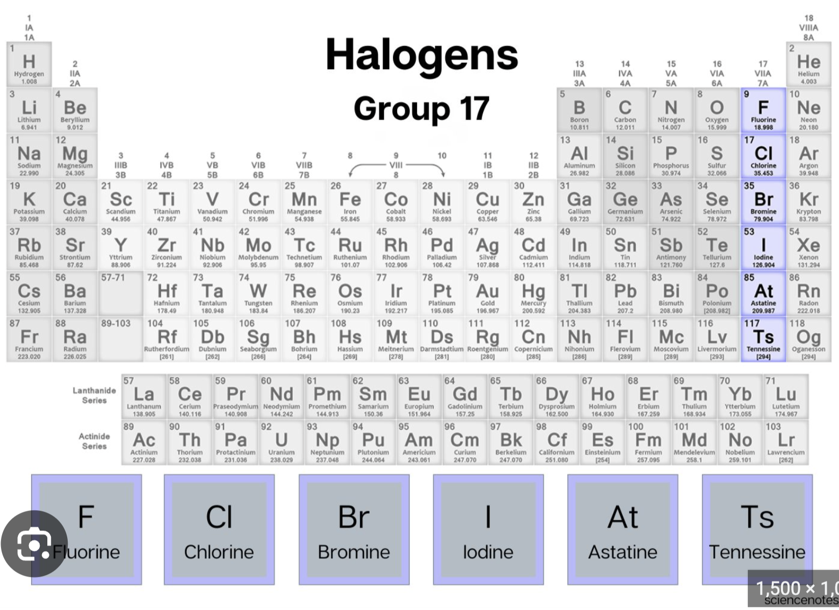 <p>Halogen Bonds</p>