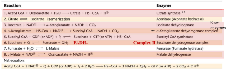 <p>Regulated reactions - 134 bc of arrow</p><p>How many energy capture steps? 34568</p><p>ENZYMES IN RED MEMORIZE - know structure of products and reactants</p>