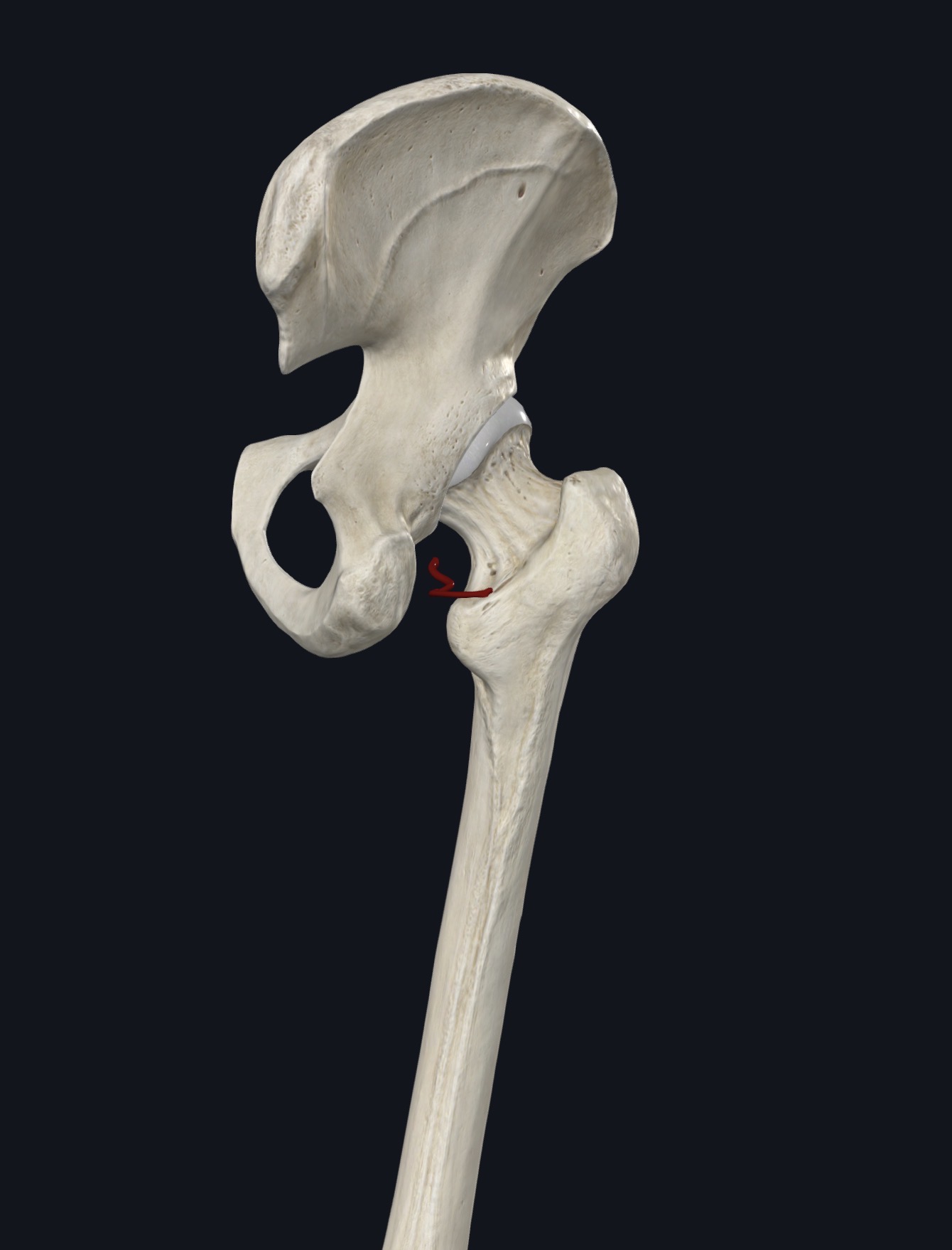 <p>¿Qué es esto?</p>