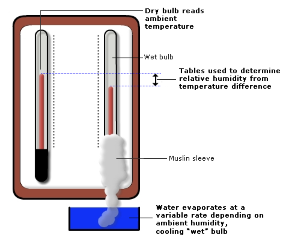<ul><li><p>Relative humidity can be calculated</p></li><li><p>Consisits of two mercury thermometers. One reads the ambient temperature whilst the second sits in a container of water which cools as the water evaporates due to loss of the latent heat of vaporization</p></li><li><p>The rate of evaporation varies with the humidity of the surrounding air and hence the difference in temperature measured by the two thermometers varies as humidity varies</p></li><li><p>Tables are used to determine the relative humidity for a given temperature difference</p></li><li><p>Requires adequate air movement to be accurate</p></li></ul><p></p>