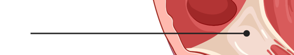 <p>What is this part of the heart?</p>