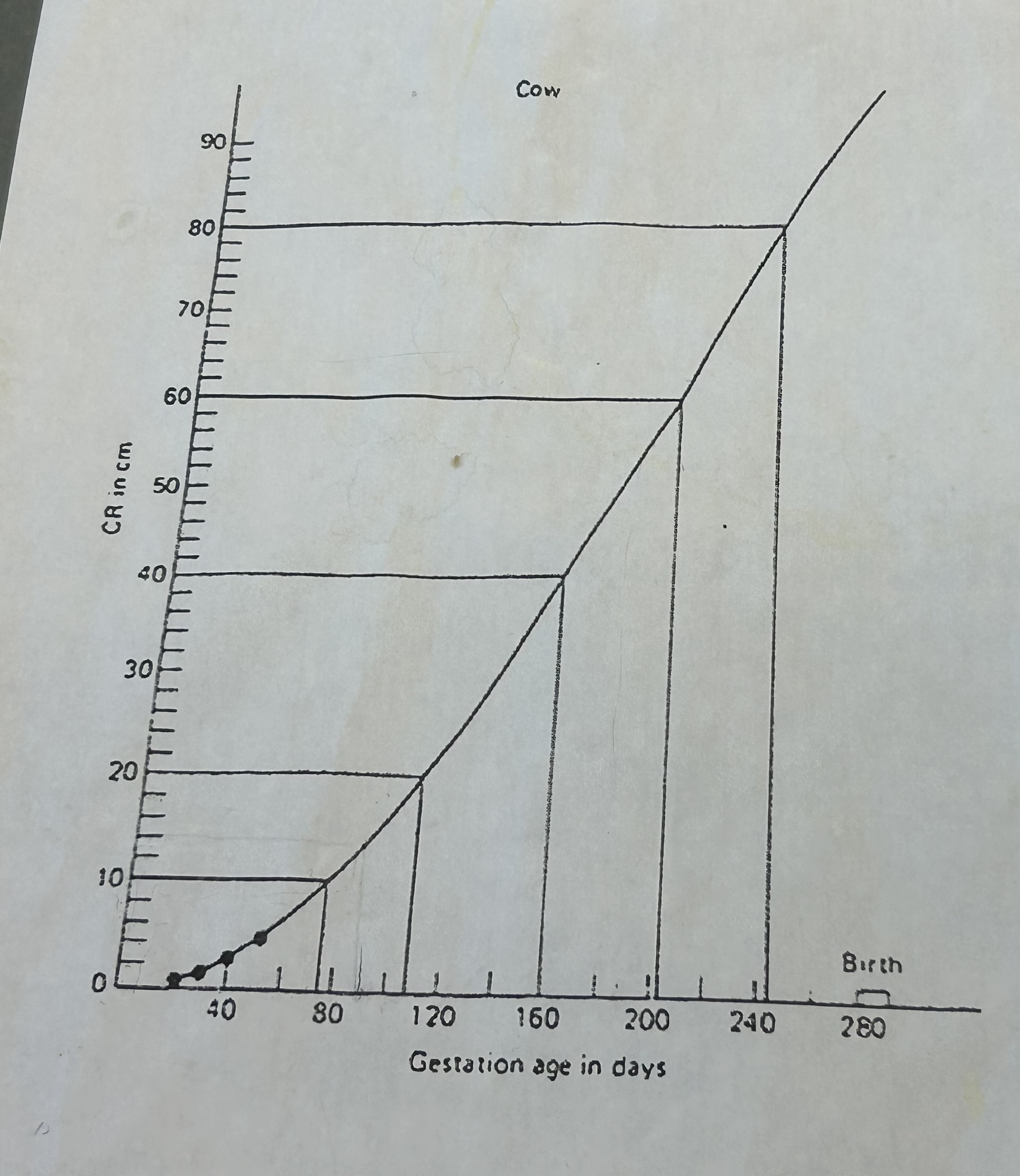 <p>*This is in cm!</p><p>Around 85 days of gestation</p>