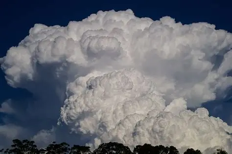 <p>low-level clouds, occurring below or at 2,000 meters. dark, dense clouds that produce precipitation</p>