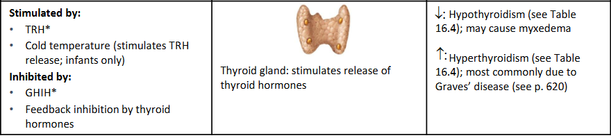 <p><mark>a tropic hormone synthesized and released by the anterior pituitary gland to control the metabolic activity of the thyroid gland</mark>. [1, 2]</p>