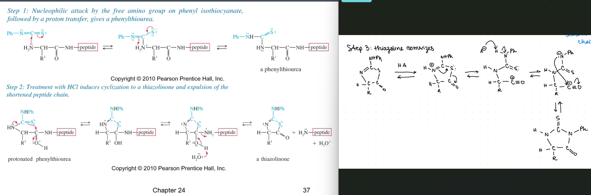 knowt flashcard image