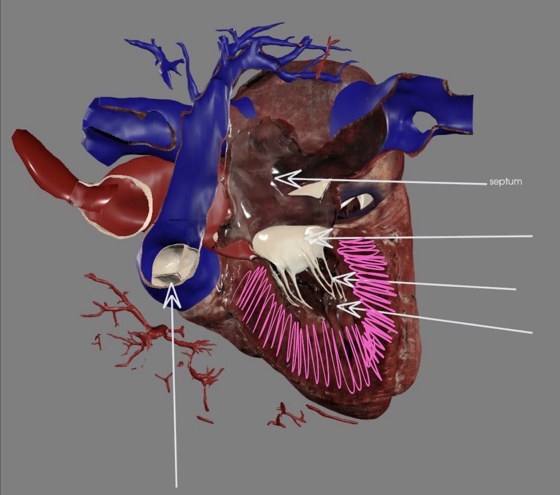 <p>What’s the highlighted area?</p>