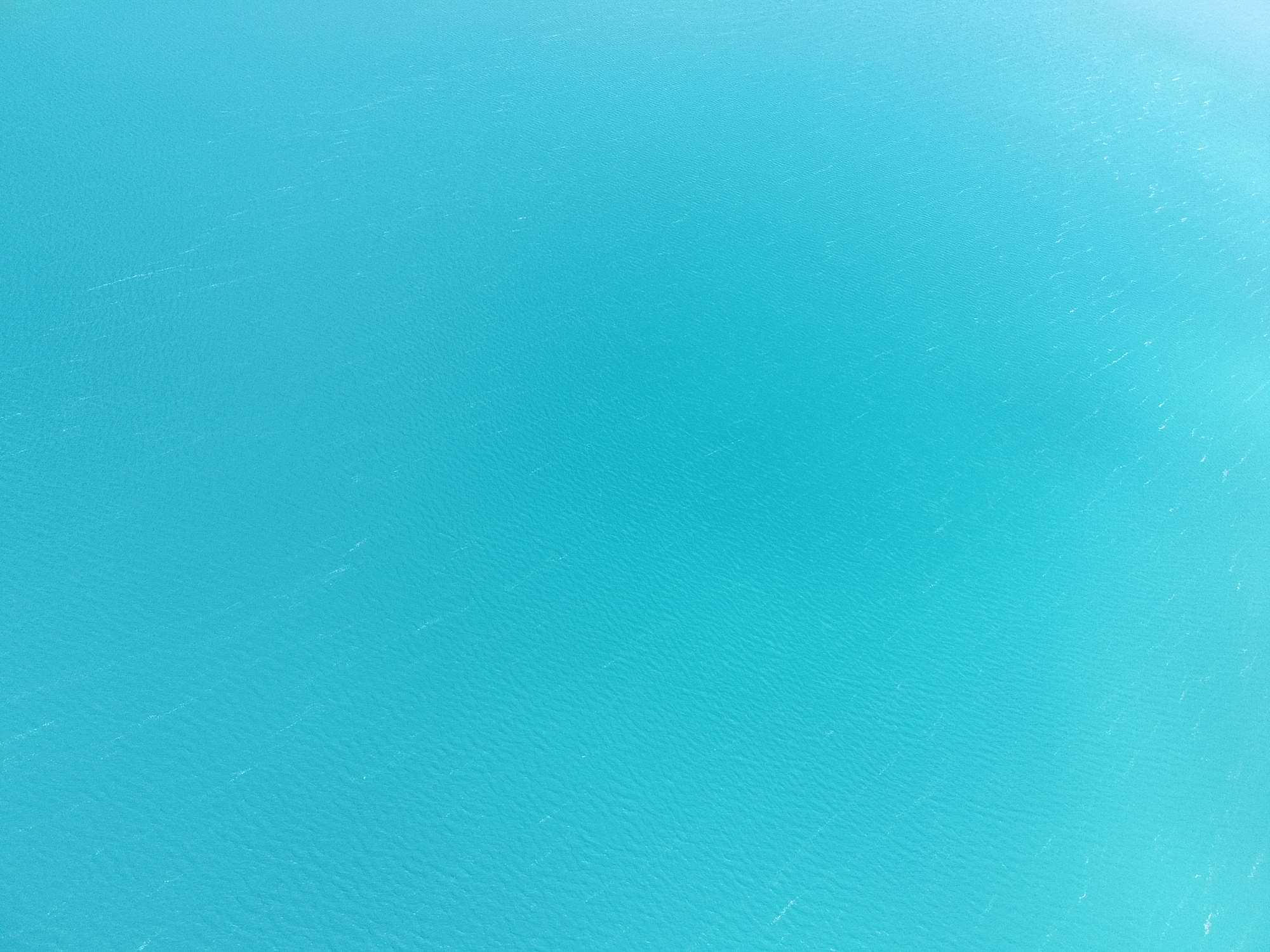 <p>Blue</p>