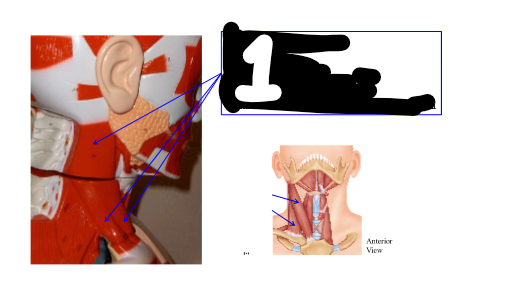 <p>1</p>